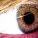Illustration for article titled Shooting Challenge: Macro Gallery